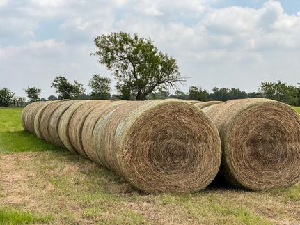 Property for sale in Robertson County, Texas