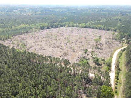 Undeveloped Land for sale in Covington County, Alabama