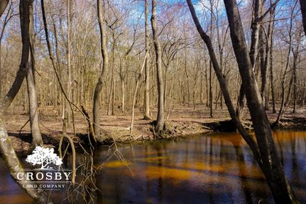 Property for sale in Clarendon County, South Carolina