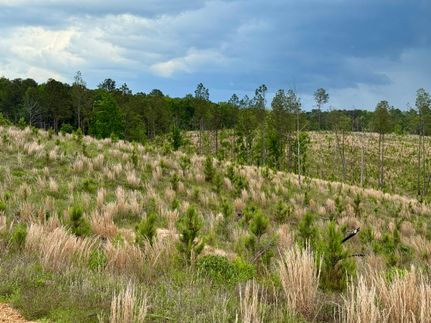 Property in Winston County, Mississippi