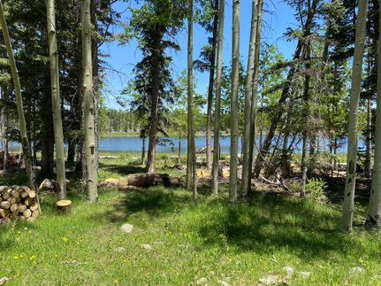 Lakefront Property for sale in Colfax County, New Mexico