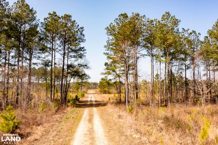 Timberland Property for sale in Hertford County, North Carolina