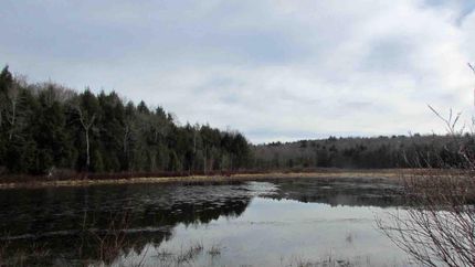Undeveloped Land for sale in Delaware County, New York