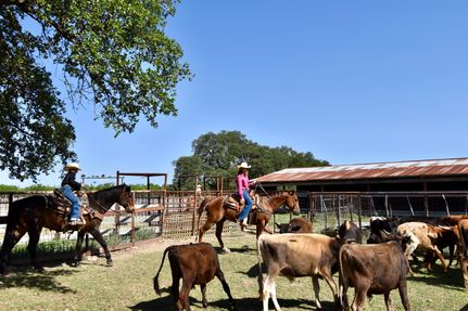 Property for sale in McCulloch County, Texas