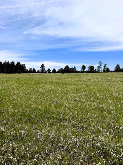 Residential Property for sale in Crook County, Wyoming