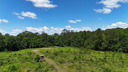 Property for sale in Polk County, Texas