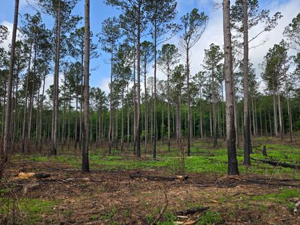 Property for sale in Coosa County, Alabama