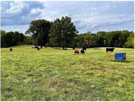 Property for sale in Weakley County, Tennessee