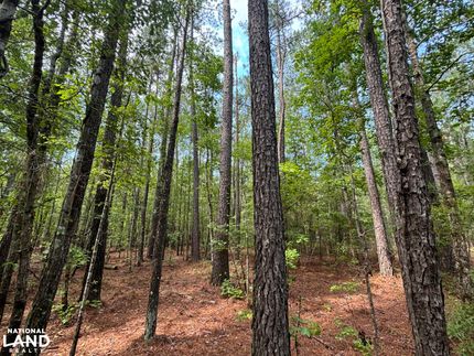 Property in Williamsburg County, South Carolina