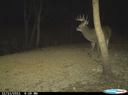 Property in McLean County, North Dakota