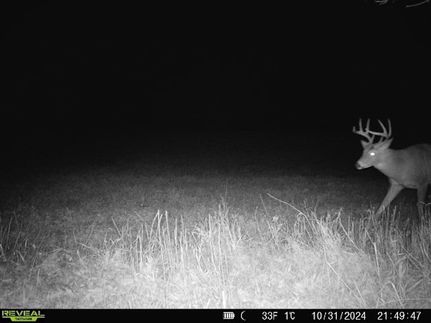 Property in Otter Tail County, Minnesota