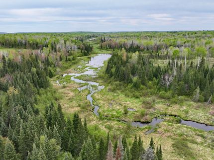 Hunting Land for sale in Ontonagon County, Michigan