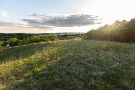 Hunting Land for sale in Monona County, Iowa