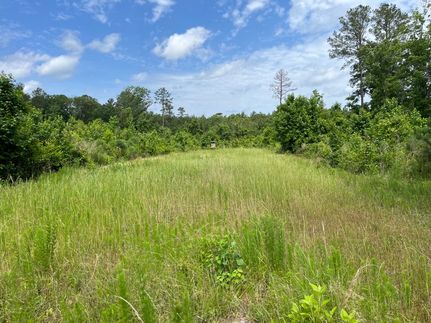 Property in LaSalle Parish, Louisiana