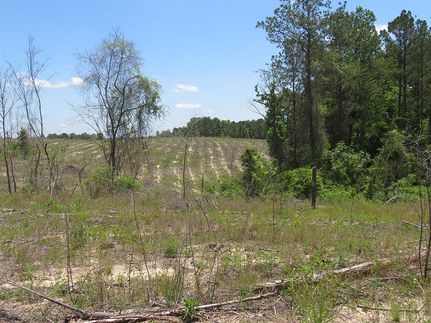 Property for sale in Marion County, Georgia