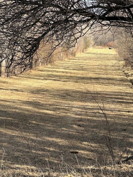 Property in Rio Arriba County, New Mexico