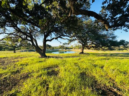 Farm Property for sale in Blanco County, Texas