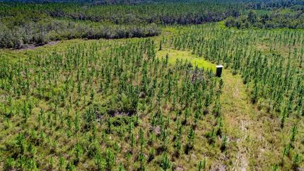 Property in Liberty County, Florida