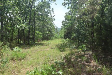 Undeveloped Land for sale in Le Flore County, Oklahoma