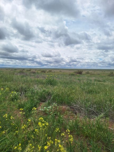 Property for sale in Weld County, Colorado