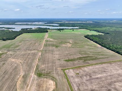 Farm Property for sale in Dallas County, Alabama