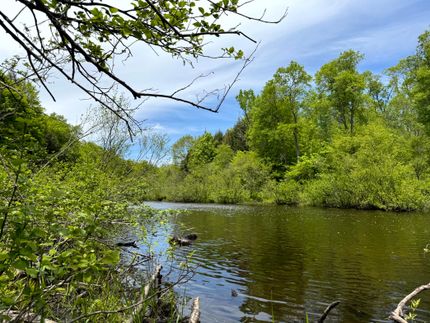 Residential Property for sale in Oneida County, New York