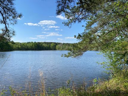 Lakefront Property for sale in Jones County, Mississippi