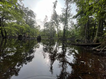 Property in Claiborne Parish, Louisiana