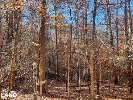 Property in Goochland County, Virginia