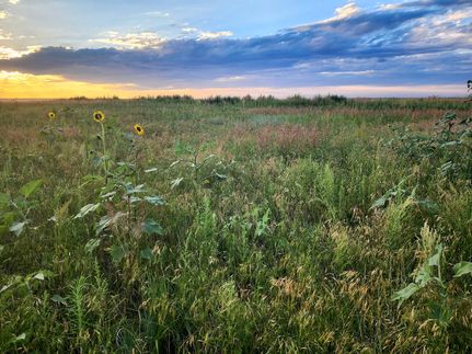 Property in Lincoln County, Colorado