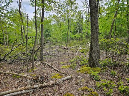 Property in Centre County, Pennsylvania