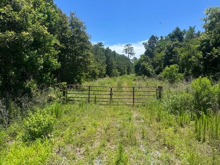 Property in Jefferson Davis Parish, Louisiana