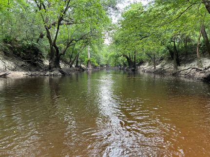 Riverfront Property for sale in Brooks County, Georgia