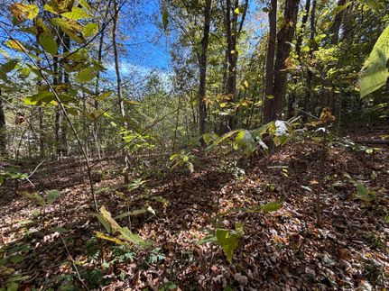 Property in Pope County, Illinois