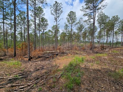 Property in Talladega County, Alabama