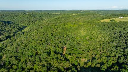 Hunting Land for sale in Barry County, Missouri