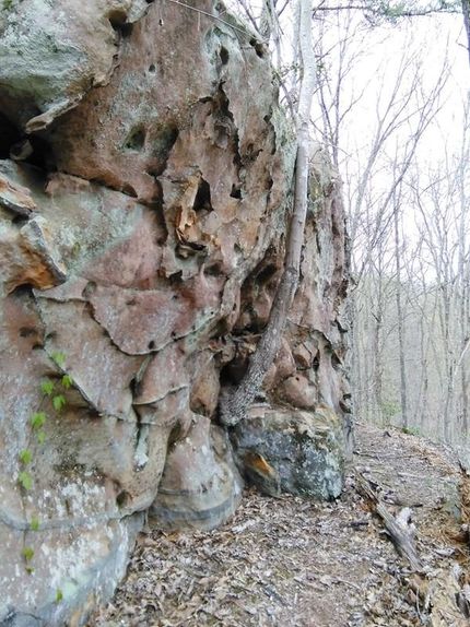 Farm Property for sale in Fentress County, Tennessee