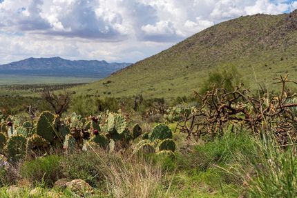 Residential Property for sale in Mohave County, Arizona