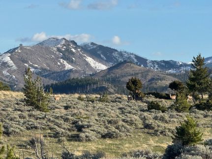 Undeveloped Land for sale in Sweet Grass County, Montana