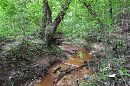 Undeveloped Land for sale in Decatur County, Tennessee