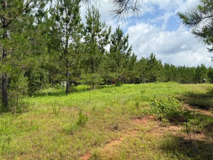 Property in Newton County, Mississippi