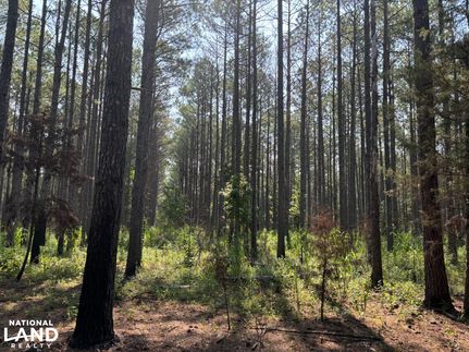 Property in Chickasaw County, Mississippi