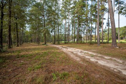 Property for sale in Tyler County, Texas