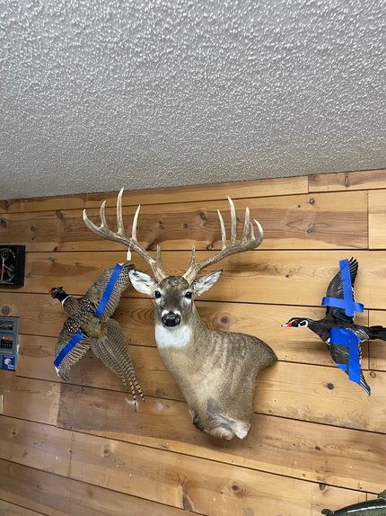 Property in Pratt County, Kansas