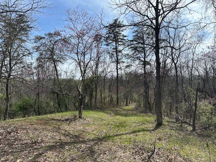 Recreational Property for sale in Wood County, West Virginia