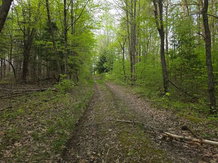 Property for sale in Chenango County, New York