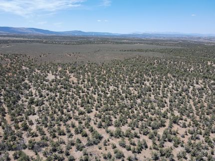 Timberland Property for sale in Montrose County, Colorado