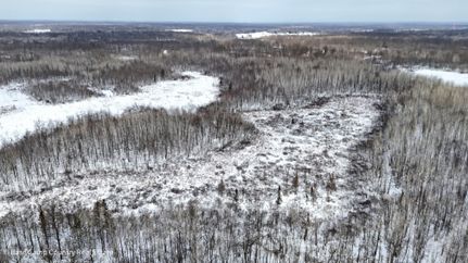 Hunting Land for sale in Kanabec County, Minnesota