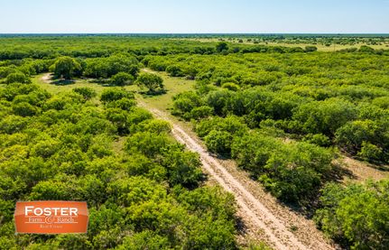 Undeveloped Land for sale in Jim Wells County, Texas