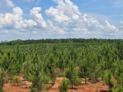 Property for sale in Randolph County, Alabama